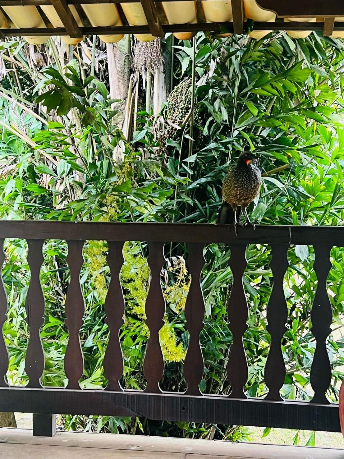 Candonga Da Serra Tiradentes